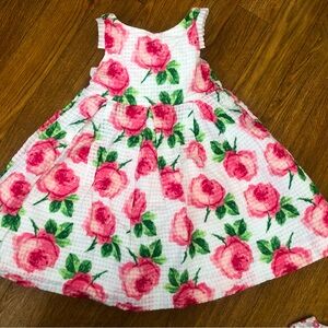 Janie and Jack pink rose dress size 2T new without tags